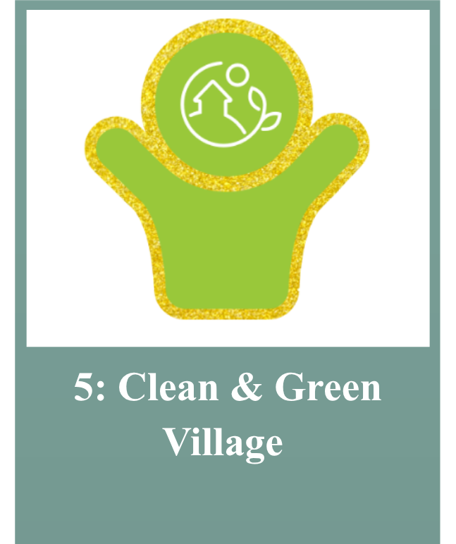 Healthy Village LSDG